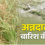 उत्तराखंड में बारिश से ‘अन्नदाताओं’ को भारी नुकसान, 41 हेक्टेयर फसल बर्बाद, रिपोर्ट ने बढ़ाई चिंता