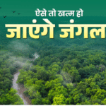 भागीरथी कैचमेंट क्षेत्र के जंगलों में पुनर्जीवन संकट! 22 फीसदी प्रजातियों की अगली पीढ़ी गायब, स्टडी रिपोर्ट