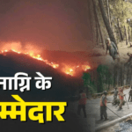 वनाग्नि के लिए सिर्फ जलवायु परिवर्तन ही नहीं जिम्मेदार, अध्ययन ने बताई ब्रिटिश काल के वन प्रबंधन की खामियां