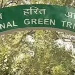 क्षतिपूर्ति शुल्क के स्थानांतरण पर एनजीटी ने डीपीसीसी पर लगाया 50 हजार रुपये का जुर्माना