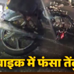 तेज रफ्तार बाइक से टकराया तेंदुआ, काफी देर तक फंसा रहा, देखिए वीडियो