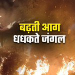 उत्तराखंड के जंगलों में आग का भयंकर तांडव, 3 महीने में 300 घटनाएं रिकार्ड, 239 हेक्टेयर वन क्षेत्र राख