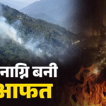 उत्तराखंड में वनाग्नि का कहर, गढ़वाल मंडल में रिकॉर्ड घटनाएं हुईं दर्ज, फिलहाल बारिश ने दी राहत