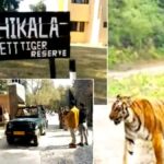 कॉर्बेट पार्क का ढिकाला जोन आज से पर्यटकों के लिए हुआ बंद, नाइट स्टे और पर्यटन गतिविधियों पर लगेगा विराम