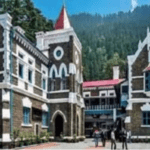 हाईकोर्ट का स्ट्रीट डॉग्स मामले में कड़ा रुख, बच्चों को होने वाले नुकसान पर सीएस से मांगा जवाब