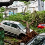 अर्नब तूफान ने आंध्र में मचायी तबाही, छह की मौत, 126 KM सड़क डैमेज, 1058 पेड़, बिजली खंभे-तार हुए तबाह
